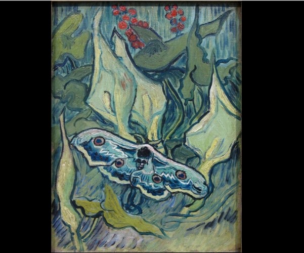 Butterflies,1889 Vincent van Gogh, Van Gogh Museum Amsterdam